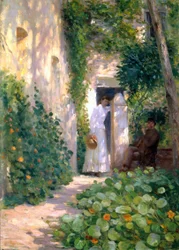 Nasturtiums